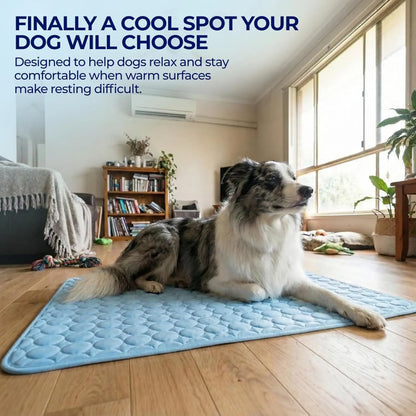 Dog Cooling Mat for Small Medium Dogs, Long-Lasting Cool Pad for Dogs Outdoor & Indoor Use with Ice Silk Fabric & Waterproof Cover, Summer Cooling Pet Bed, Non-Slip Washable Pet Blanket